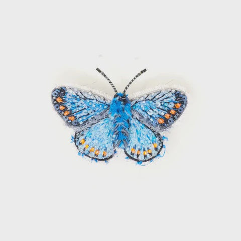 Adonis Blue Butterfly Brooch Pin