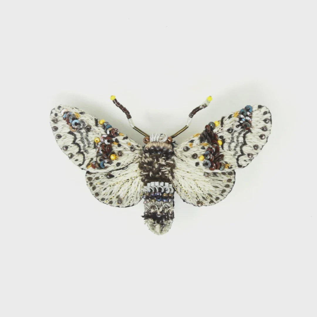 Alder Kitten Moth Brooch Pin