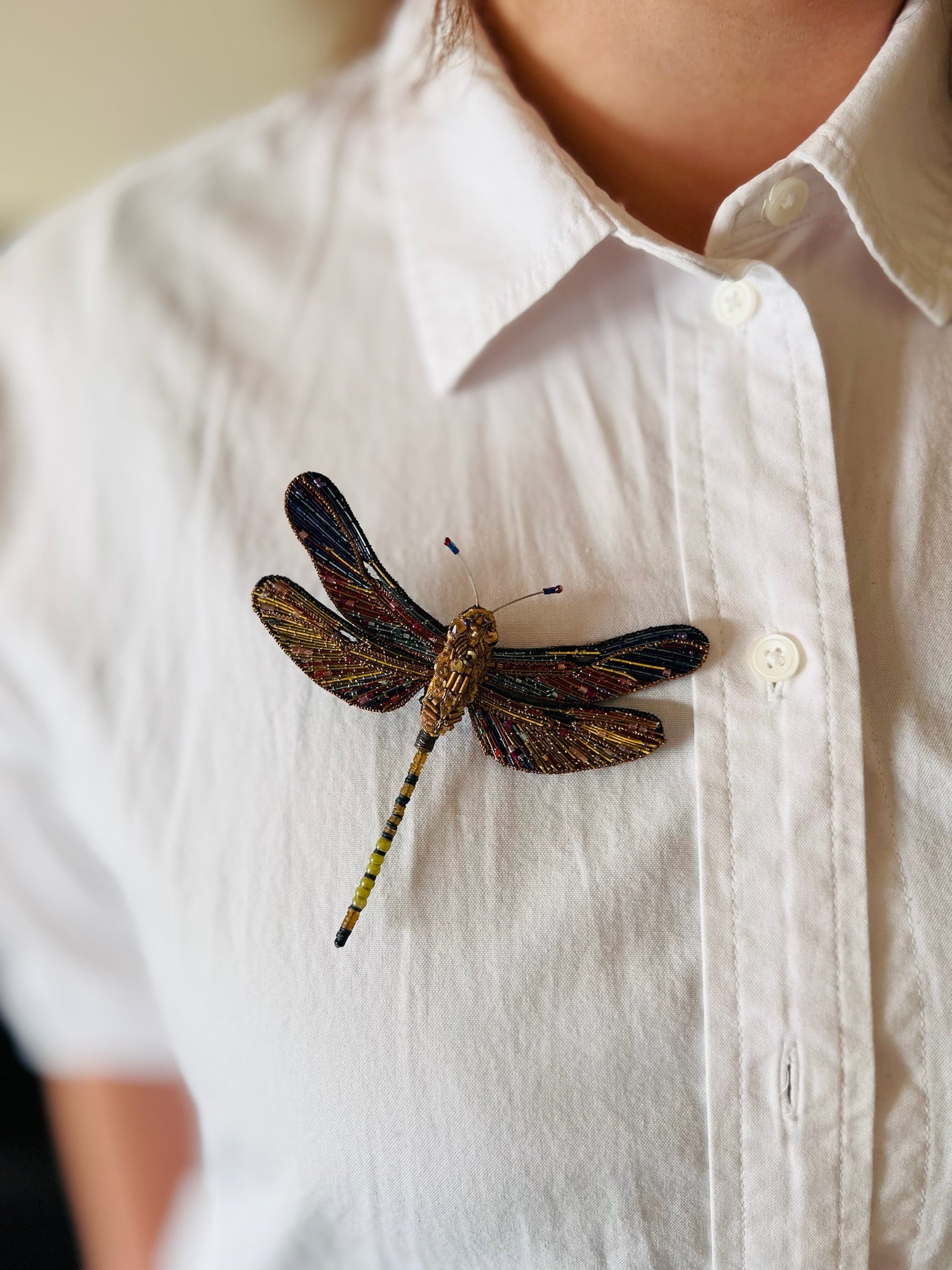 Brown Hawker Dragonfly Brooch