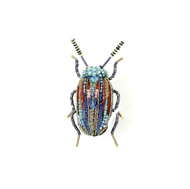 Snowdon Beetle Brooch Pin