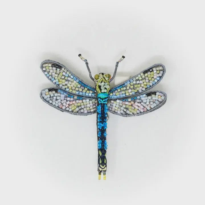 Common Hawker Dragonfly Brooch Pin