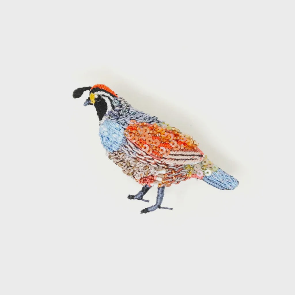 Valley Quail Brooch Pin