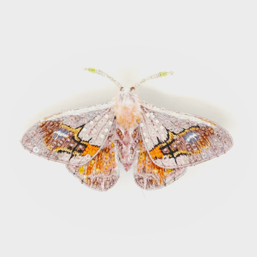 Drepanid Moth Brooch