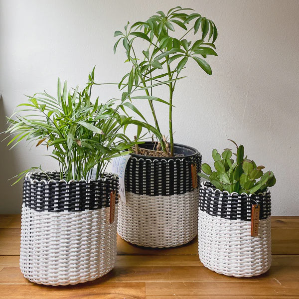 Boxi Low Planter Baskets